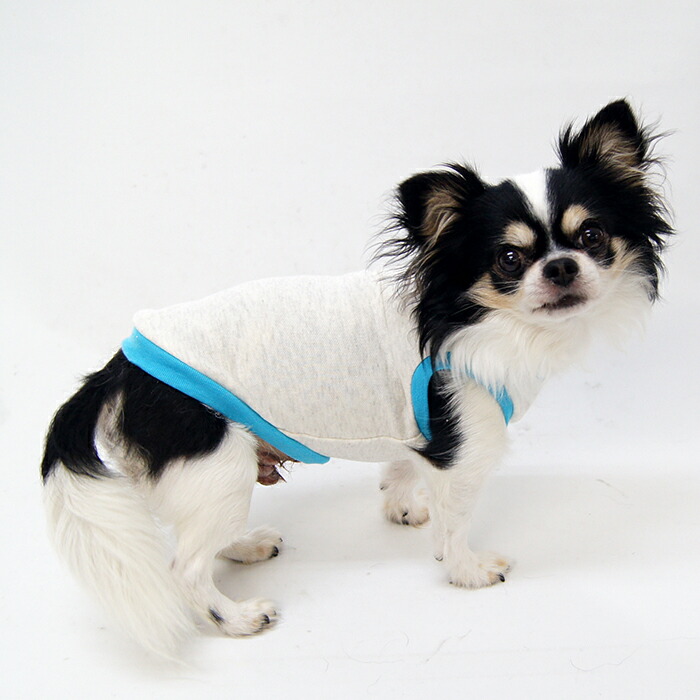 楽天市場】熟練犬服工房タンクトップ・ミニピン5サイズ型紙(ばらばら