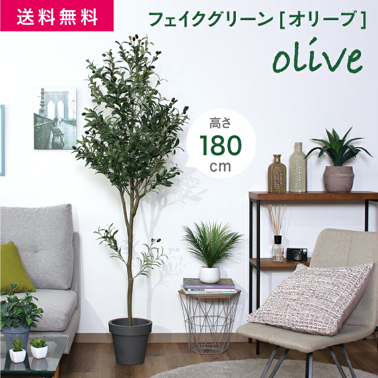 FJ フェイクグリーン 観葉植物 オリーブ １８０ｃｍ ジョイント [大型] 高さ180cm 4kg グリーン [41122]#フェイクグリーン 観葉植物 インテリア リアル フェイク 不二貿易｜DIY＆リノベーションズ