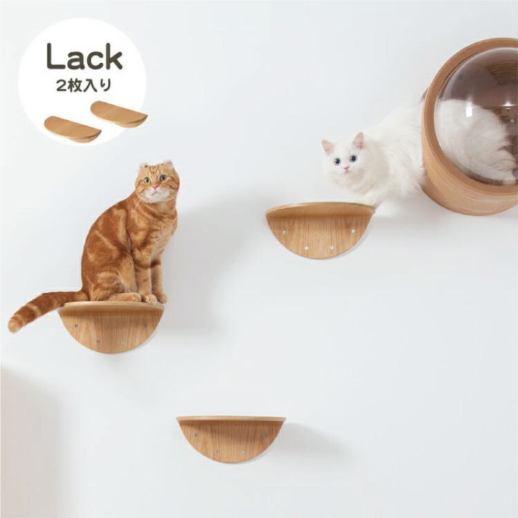Sale Myzoo マイズー Round Lack ラウンドラック 2個入 木材 キャットステップ セット 猫 キャット ウォーク ステップ タワー おしゃれ 棚 アクリル 壁付け スタイリッシュ Yazamcoit Co Il