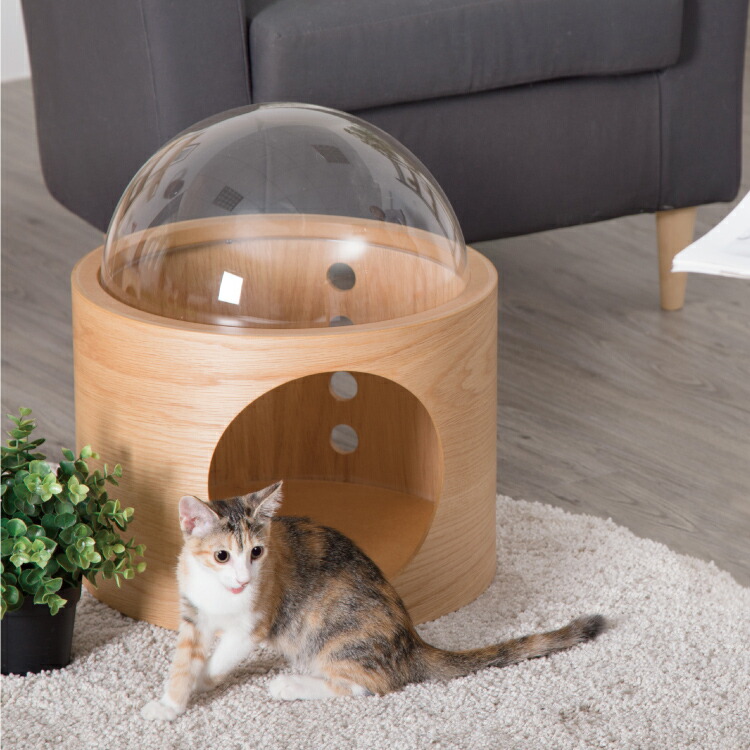 Sale Myzoo マイズー 宇宙船gamma オーク 壁付けタイプ猫用ベッド 右開き セット 猫 キャット ウォーク ステップ タワー おしゃれ 棚 アクリル 壁付け スタイリッシュ Salon Raquet De