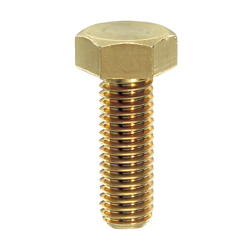 黄銅六角ボルト 全ねじ M6X12 【600本】 6角 6カク bolt nut 八幡ねじ ネジ|DIY&リノベーションズ