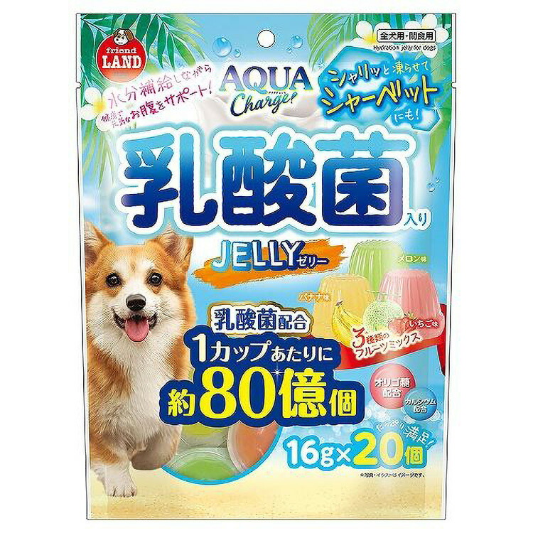 JL アクアチャージ乳酸菌入り口・入口ジェリィ16g×20個 335×315×250 【24個】  (株) マルカン