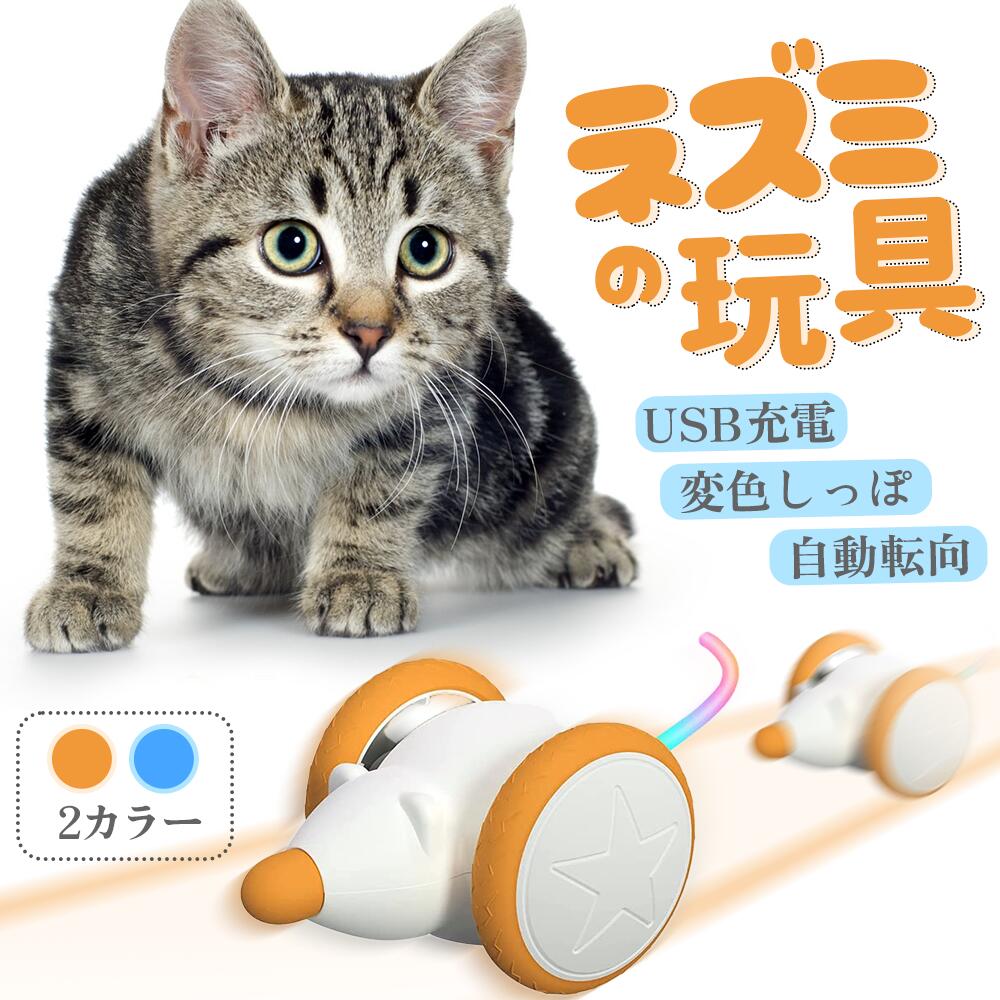 楽天市場】【楽天1位・獣医師推奨】 猫おもちゃ 猫じゃらし 電動ボール