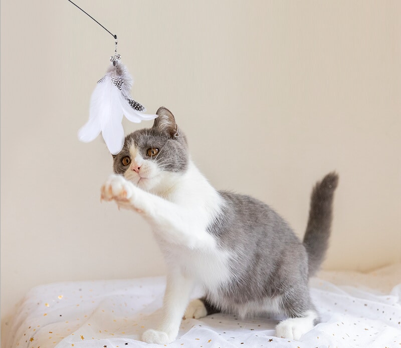 サイズ交換対象外 【運動不足解消】猫 室内おもちゃ 猫じゃらし 鈴付き猫用玩具 プレミアムフェザー 通販 