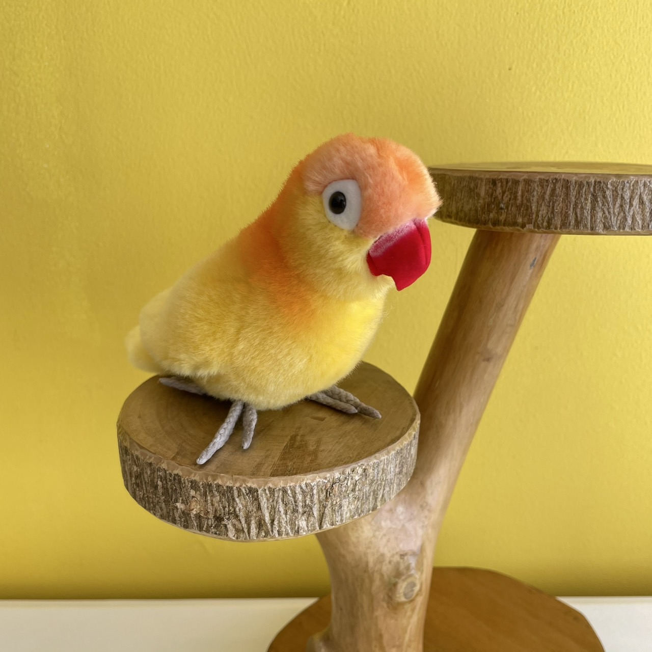 楽天市場】ケーセン Koesen ぬいぐるみ ボタンインコ 緑赤 : 木