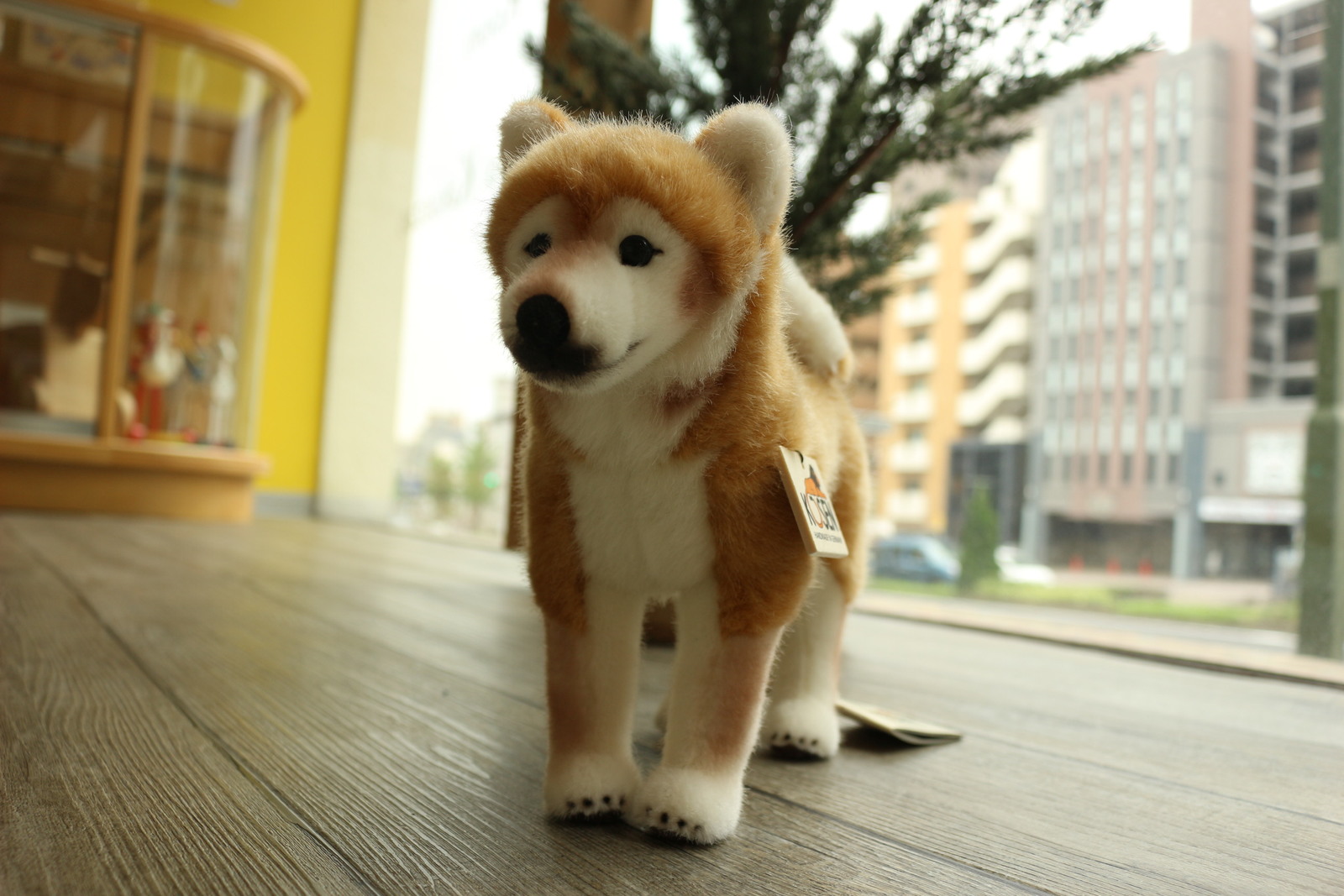 楽天市場 送料無料 柴犬 シバ犬 犬 おもちゃ ぬいぐるみ 上質 ケーセン 小さい 可愛い ハンドメイド ドイツ ０歳 １歳 ２歳 ３歳 ４歳 ５歳 プレゼント 木のおもちゃ専門店ゆうぼ