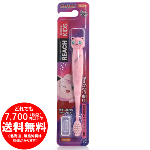 リーチキッズゼニガメフィギュア付やわらかめ 銀座ステファニー化粧品(株)(代引不可)