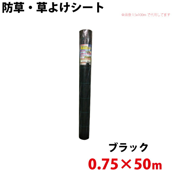 オリジナル 代引不可 沖縄県配達不可 ロックシート 0 75ｍ 30ｍ 強力雑草よけシート シンセイ 防草シート Whatisagpo Com