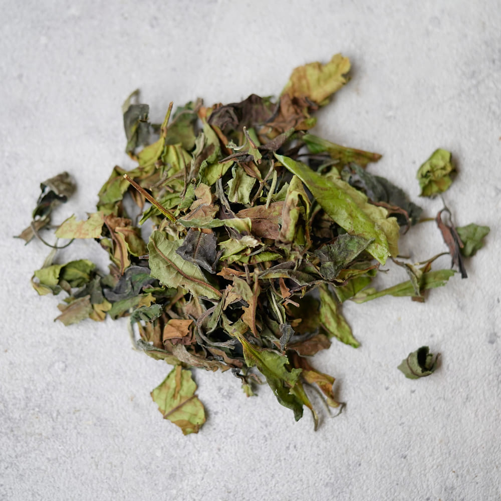 楽天市場】中国茶 白茶 （福鼎大白茶 寿眉 茶餅）1枚300g福建白茶