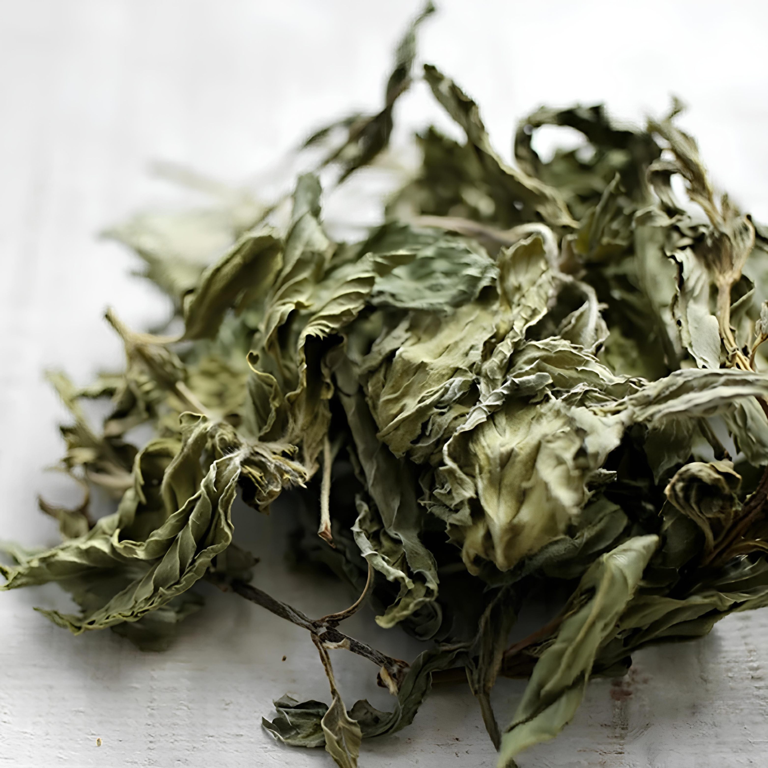 みんとてぃー 国内2月25日発売予定】アディダス オリジナルス ZX 8000 