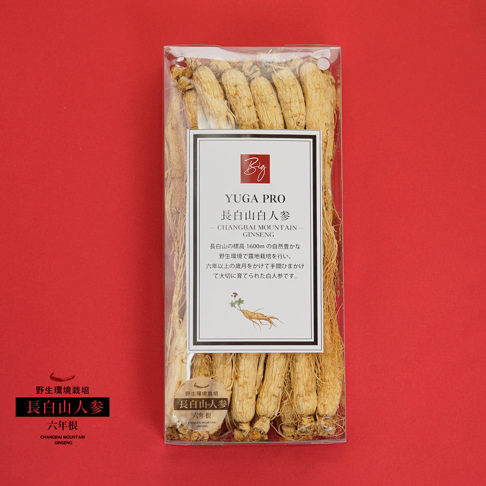 [輸入元直販/現品] 長白山白人参 6年根 500g (高等級品約50本入り) 野生環境露地栽培 朝鮮人参/高麗人参