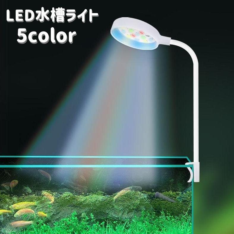 専用LED3wライト2白1青20個　観賞、植物、水槽など多用 41uyjNh-K3L._SS200_.jpg