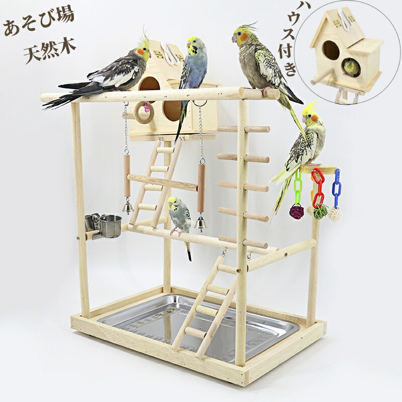 楽天市場】インコ おもちゃ 止まり木 スタンド バードトイ