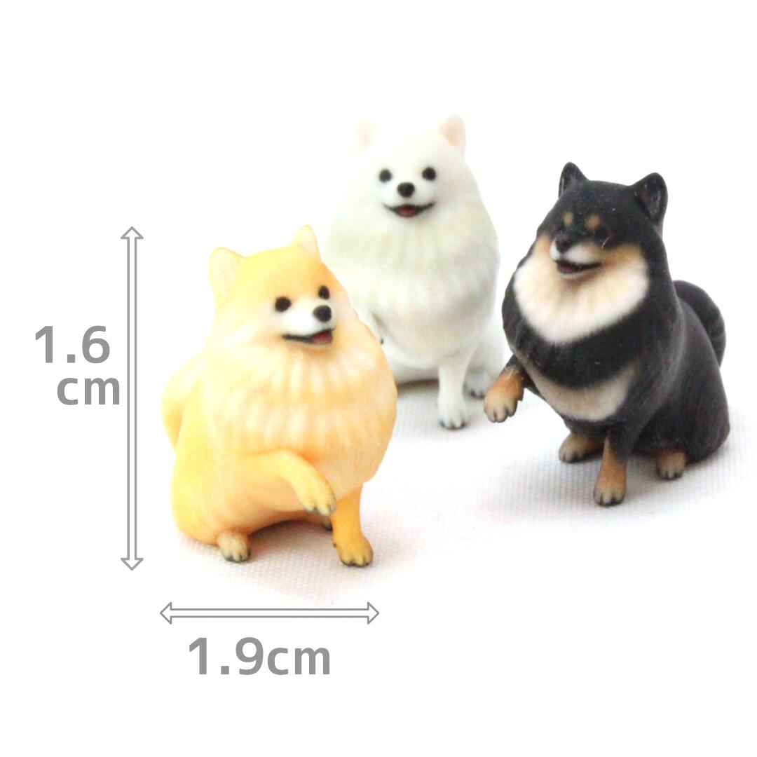 楽天市場】【azuki】Partner's 34 ポメラニアン(寸法：幅1cm×高さ1.6cm