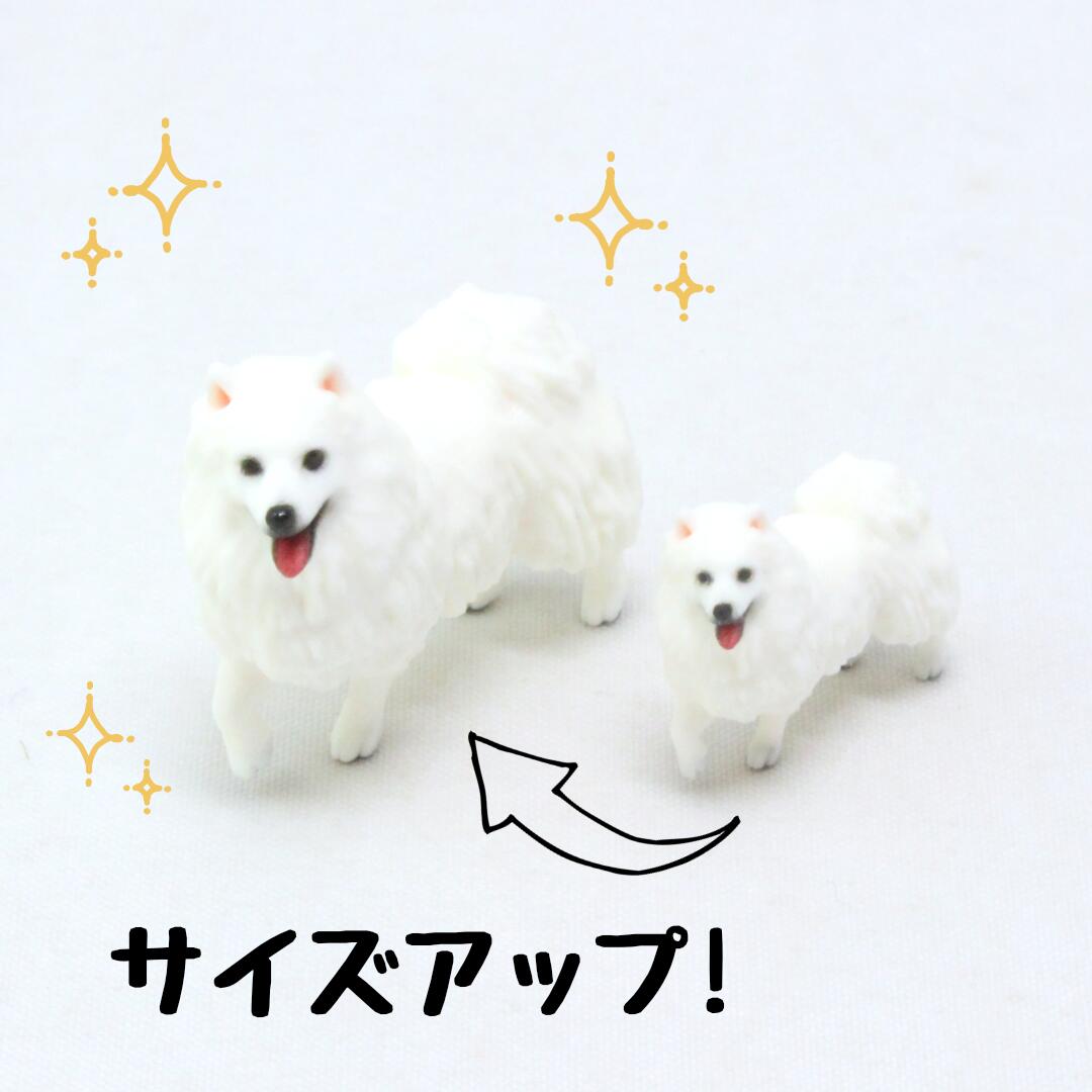 kosen ケーセン　スピッツ　小　値下げ不可 61aWH+Xaq9L._UF350,350_QL80_.jpg