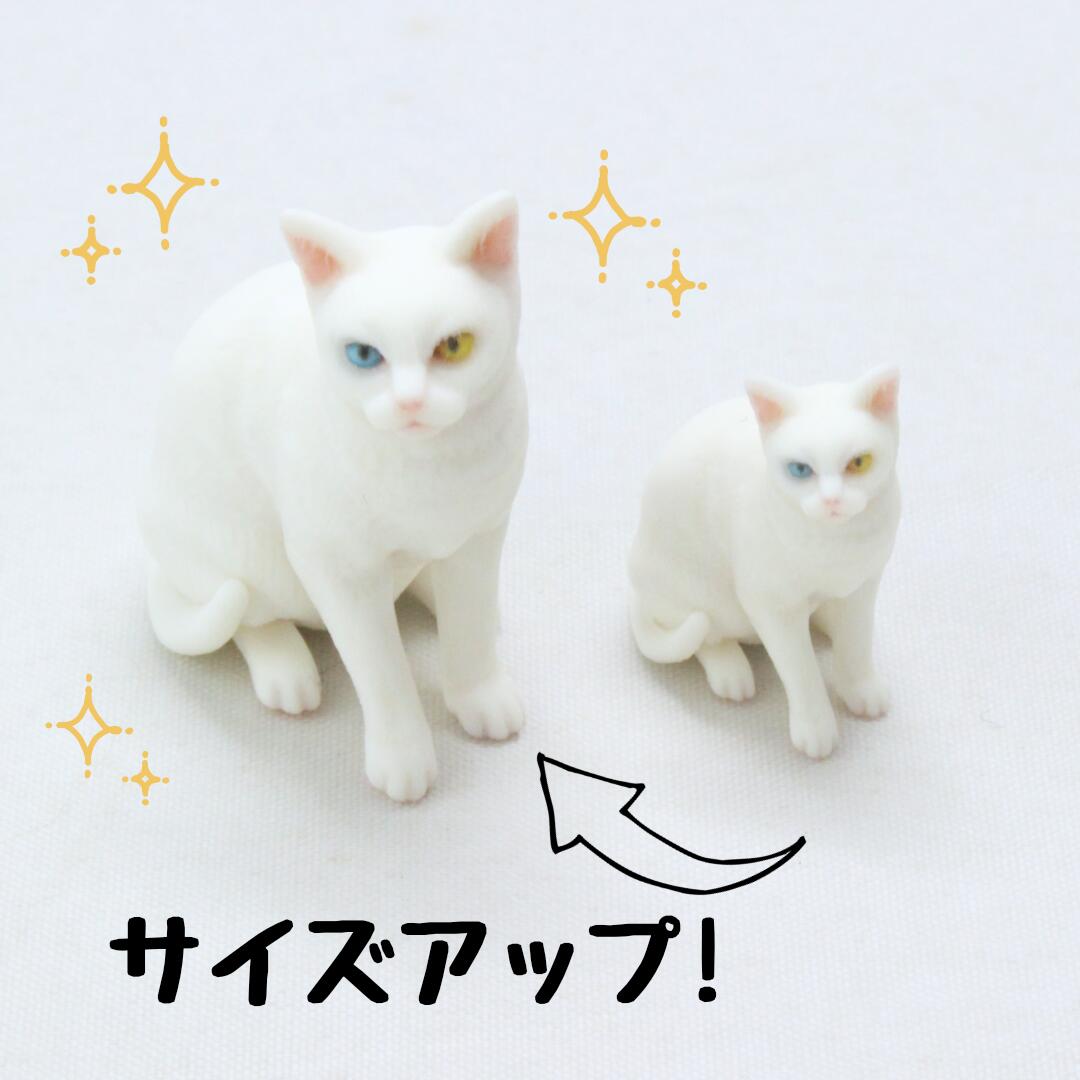 楽天市場】ひざねこ M ぬいぐるみ オッドアイ 白 猫 ネコ