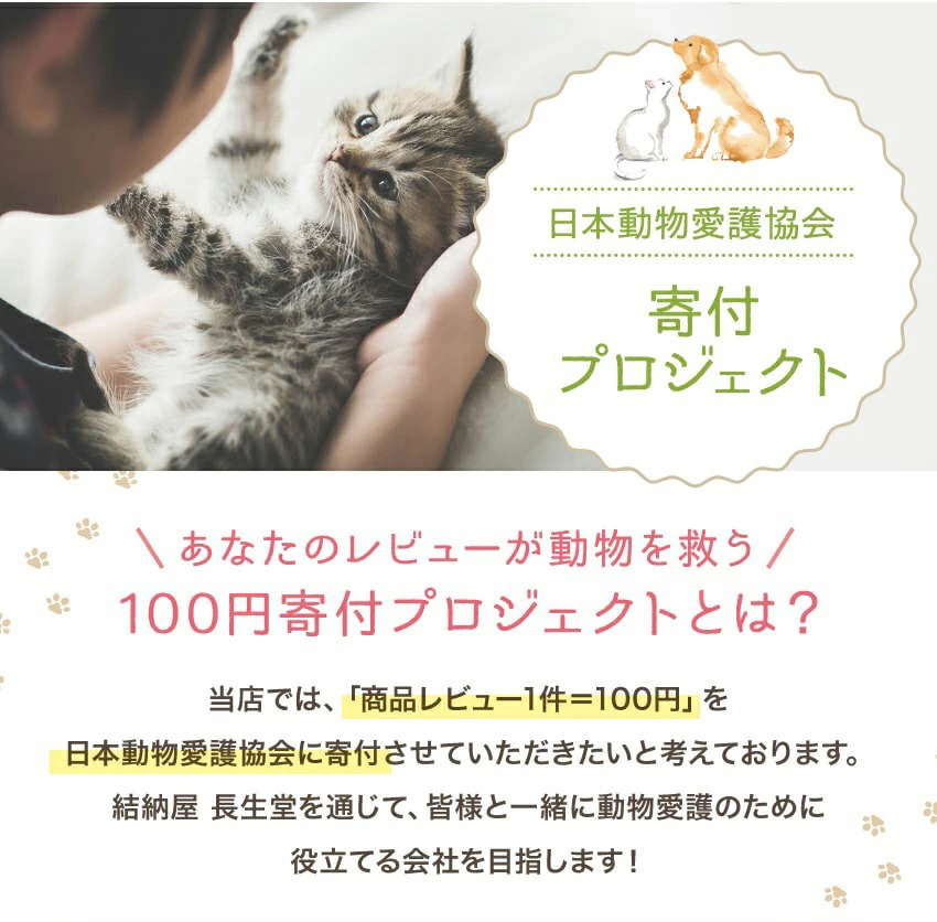 市場 ペット 選べる猫 犬セット 手書き 名入れ 木札無料特典付き 祭壇 セット ペット仏壇仏具 仏壇 コンパクト 小さな虹のメモリアル