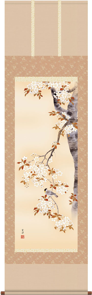 Amazon | 掛け軸 春 桜花・森山観月 尺三 掛軸 桜 床の間 | 絵画