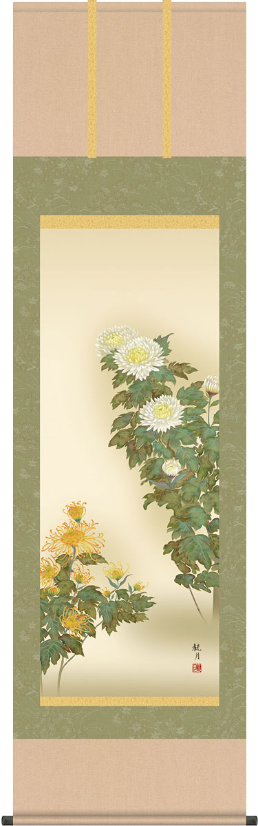 掛軸 掛け軸 秋用 菊花 森山観月 尺五立 約横54.5cm×縦190cm【送料無料】g4119 秋 秋掛 秋掛け 花鳥 菊 和室 和 床の間 和風 お祝い 御祝 贈答 贈り物