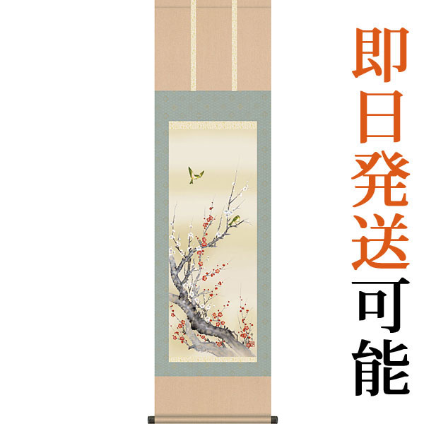 掛軸 掛け軸  春用  紅白梅に鶯  北山歩生 尺三立 約横44.5cm×縦164cm g4145 春 春掛 春掛け 花鳥 うぐいす ウグイス 吉祥 和室 和 床の間 和風 お祝い 御祝 贈答 贈り物