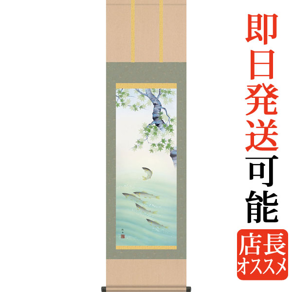 掛軸 掛け軸  夏用  楓に鮎  長江桂舟 尺三立 約横44.5cm×縦164cm g4150 夏 夏掛 夏掛け 花鳥 あゆ アユ 和室 和 床の間 和風 お祝い 御祝 贈答 贈り物