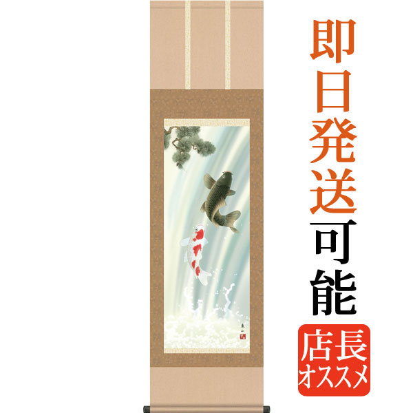 端午の節句掛軸 掛け軸 　夫婦滝昇鯉　榎本東山 【尺三立】約横44.5&times;縦164cm g4065 端午の節句 初節句 出産 子どもの日 こどもの日 子供の日 鯉 鯉のぼり こいのぼり 昇鯉 登竜門 夫婦鯉 開運 縁起 吉祥 選挙｜結納屋さん