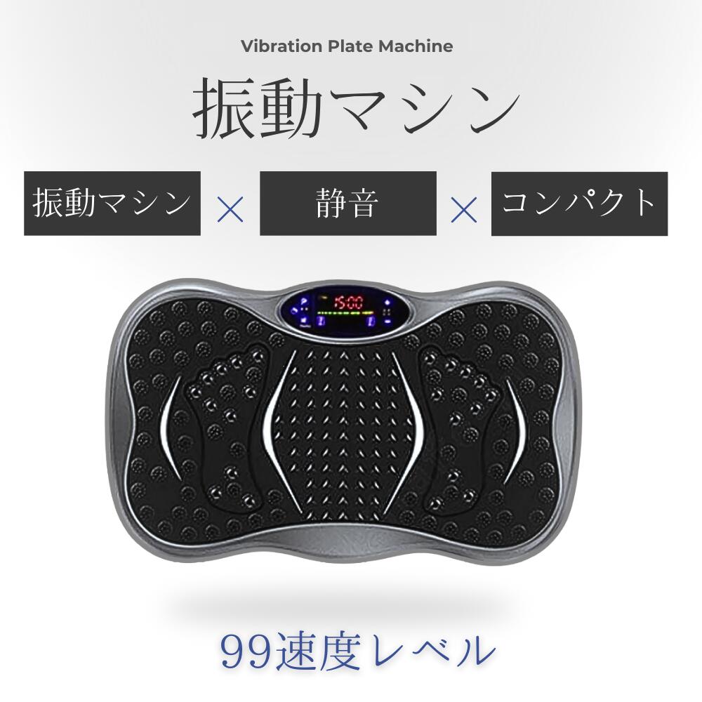 振りまわす器械 食事制限 身寄り用 静音心積もり 筋トレ 足腰形づくる USB/Bluetooth相応う 思わしい物の具