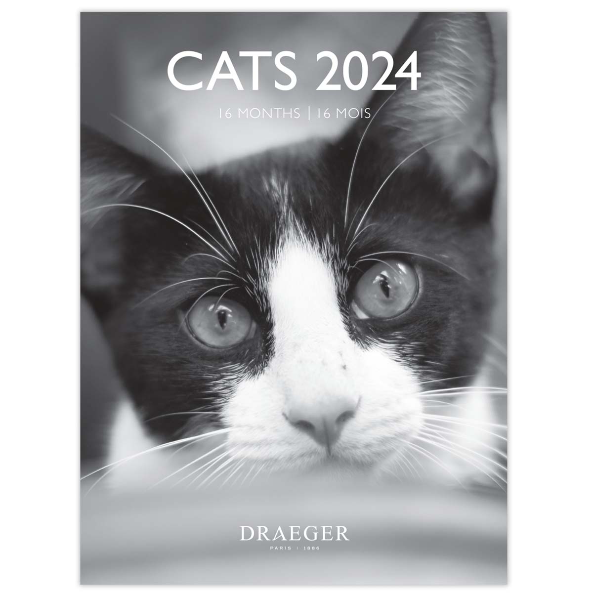 CATS 2024 Daily Calendar / DRAEGER PARIS（ドレジャーパリス