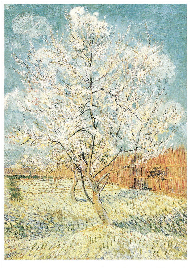 ピカソ 本を読む女 ポスター ヴィンテージ ポストモダン キュビズム アート ピカソ 本を読む女 ポスター ヴィンテージ ポストモダン キュビズム