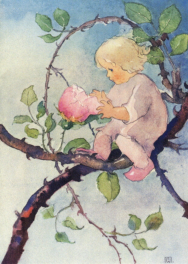 楽天市場】ポストカード イラスト 絵本 マーガレット・タラント「えん