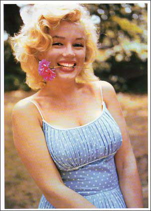 楽天市場 ポストカード カラー写真 マリリン モンロー ユージニア 楽天市場店