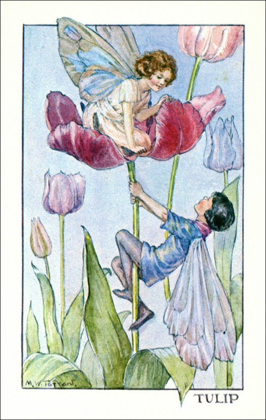 楽天市場】ポストカード イラスト 絵本 マーガレット・タラント「えん