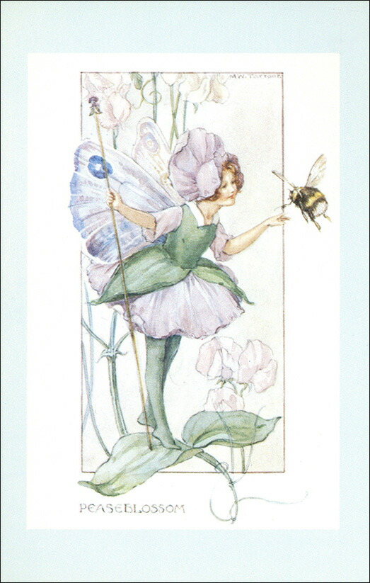 楽天市場】ポストカード イラスト 絵本 マーガレット・タラント「えん