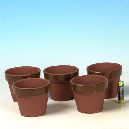 楽天市場】鉢：国産素焼き鉢 朱温 2.5号浅 5個セット*資材 : 遊恵盆栽