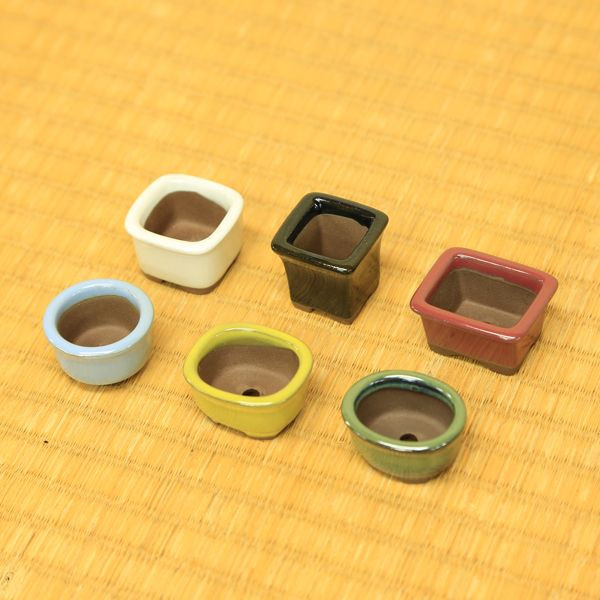 楽天市場】国産豆鉢 5.5-6.0ｃｍ : 遊恵盆栽 楽天市場店