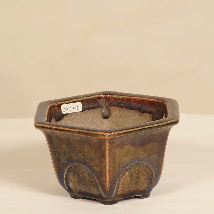 樹晃　正方　盆栽鉢 楽天市場】鉢：樹晃 正方鉢 10.5cm【現】*資材 : 遊恵盆栽
