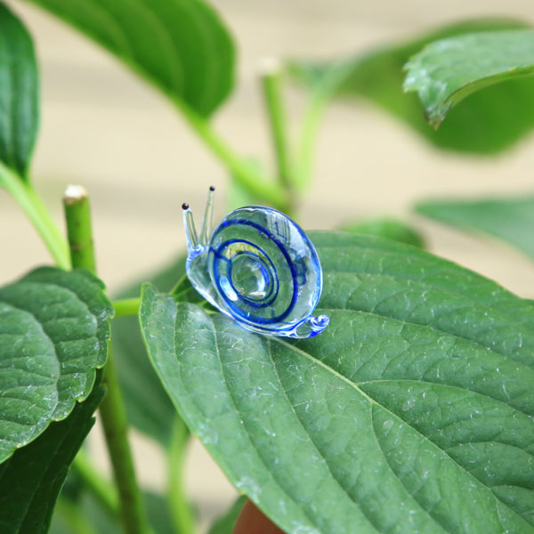 楽天市場 庭木 植木 剪定後のお届けアジサイ 紫陽花 万華鏡 ガラスのカタツムリ付き 遊恵盆栽 楽天市場店