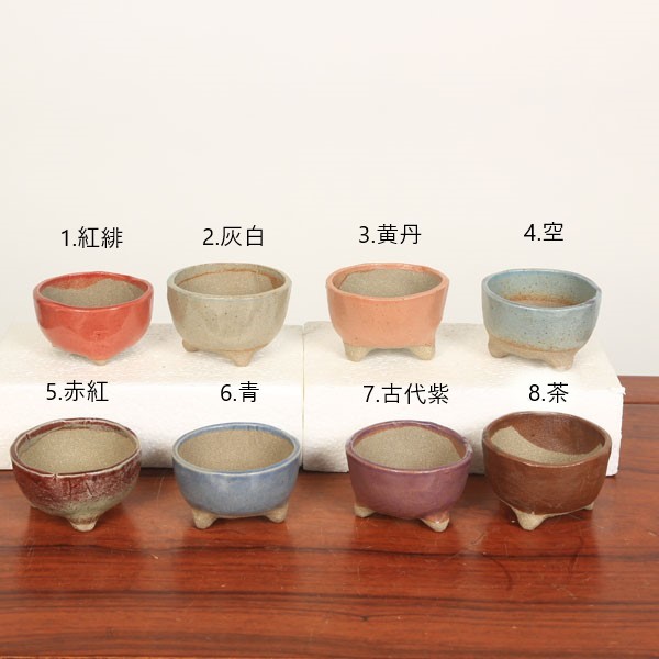 楽天市場】国産豆鉢 5.5-6.0ｃｍ : 遊恵盆栽 楽天市場店