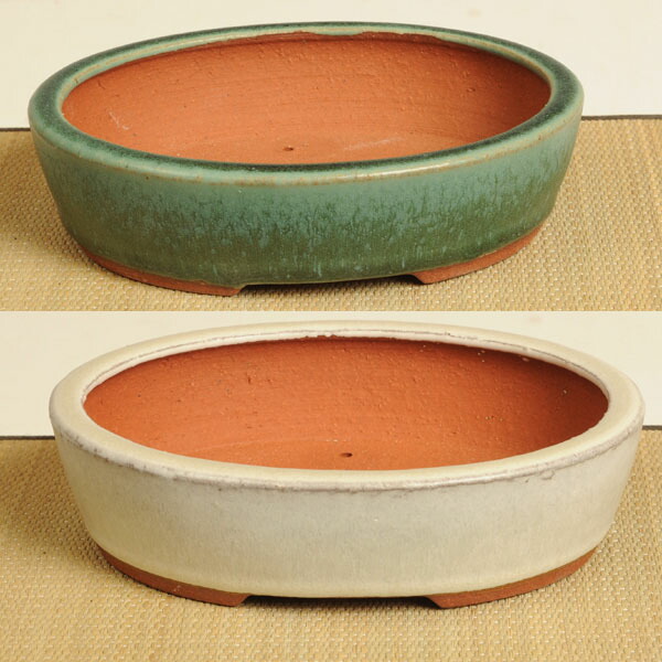 楽天市場】鉢：燿山 楕円鉢 18.8cm*資材 : 遊恵盆栽 楽天市場店