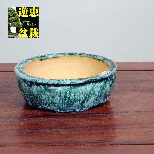 現代小鉢：浜重兵衛(じゅうべい)　長方鉢　15.5cm【現】*資材｜遊恵盆栽　店