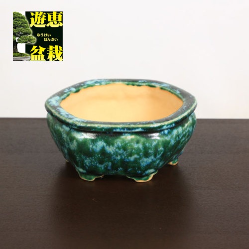 盆栽小鉢：重兵衛　足付六角鉢　16ｃｍ【現品】*資材