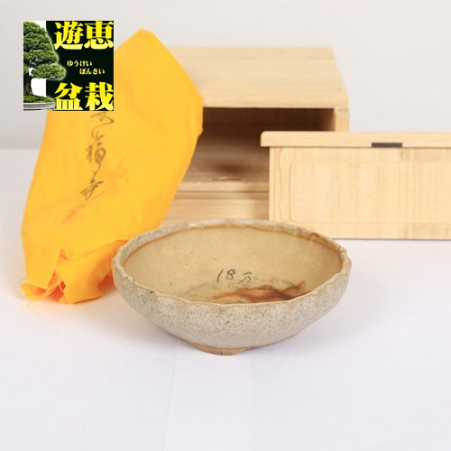 楽天市場】盆栽小鉢：初代 東福寺 正方鉢 10.6cm【現品】*資材