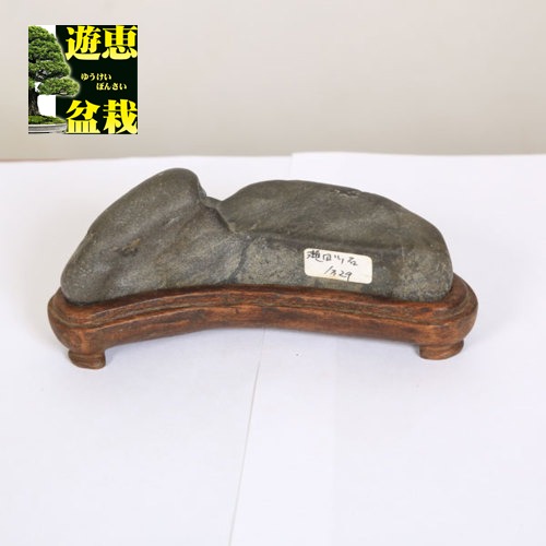 楽天市場】【送料無料】菊花石 鑑賞石 (産地/ 根尾 赤倉山) 唐木台