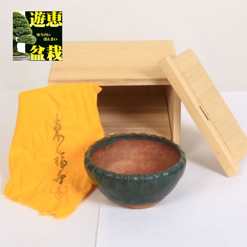 楽天市場】盆栽小鉢：初代 東福寺 正方鉢 10.6cm【現品】*資材