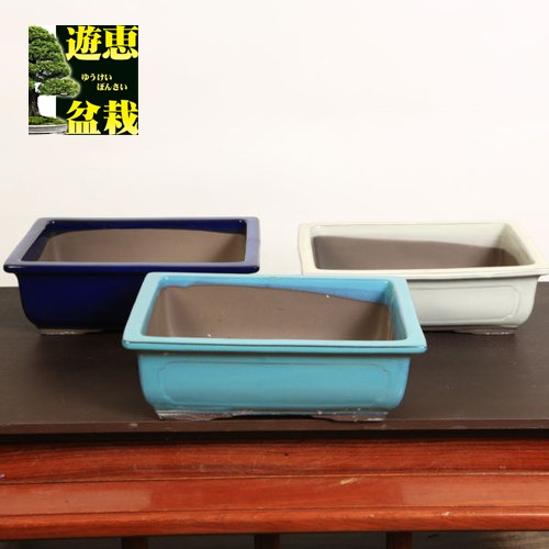 楽天市場】大特価：国産12角深鉢 6号 ラン鉢 *資材 : 遊恵盆栽 楽天市場店