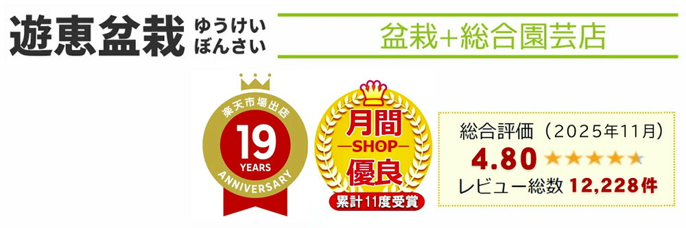 ͷ���ߺϡ���ŷ�Ծ�Ź���ߺϵڤ��ߺϴ�Ϣ�������Ź����ͷ���ߺϡ���ŷ�Ծ�Ź��