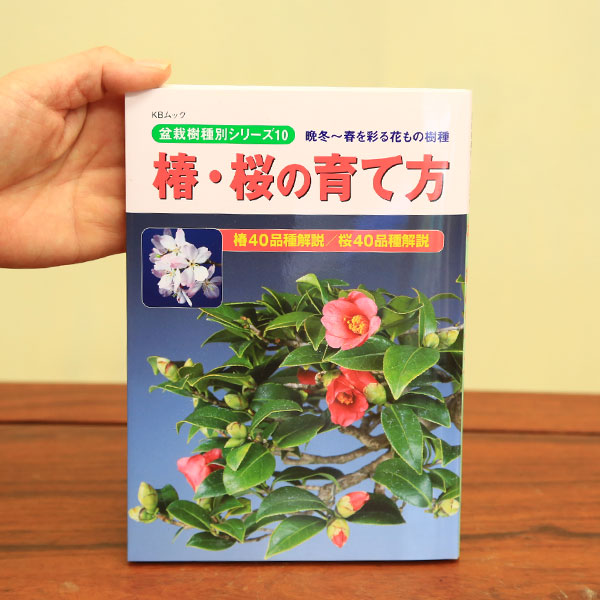 楽天市場 本 椿 桜の育て方 遊恵盆栽 楽天市場店