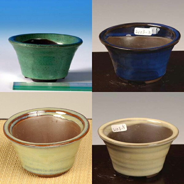 楽天市場】鉢：丸鉢 2号 6cm*資材 : 遊恵盆栽 楽天市場店