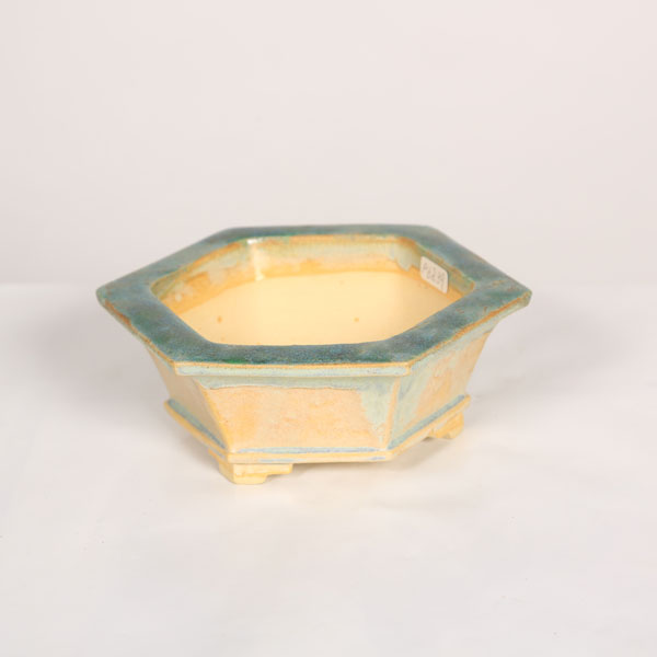 盆栽小鉢:桂雲 六角鉢 14.4cm 【現品】*資材