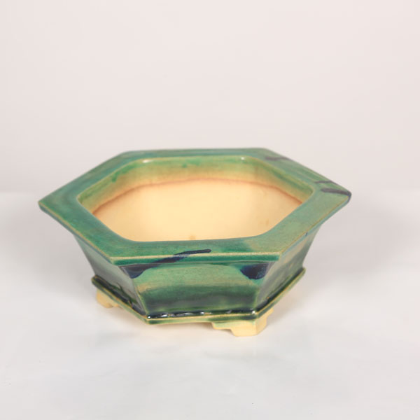 盆栽小鉢：桂雲　六角鉢　14.5cm 【現品】*資材